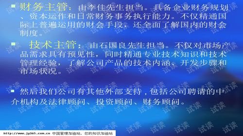 武漢市XX科技開發(fā)有限責(zé)任公司商業(yè)計(jì)劃書